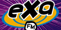 EXAFM.gif (4169 bytes)