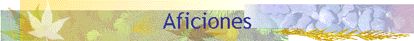 Aficiones